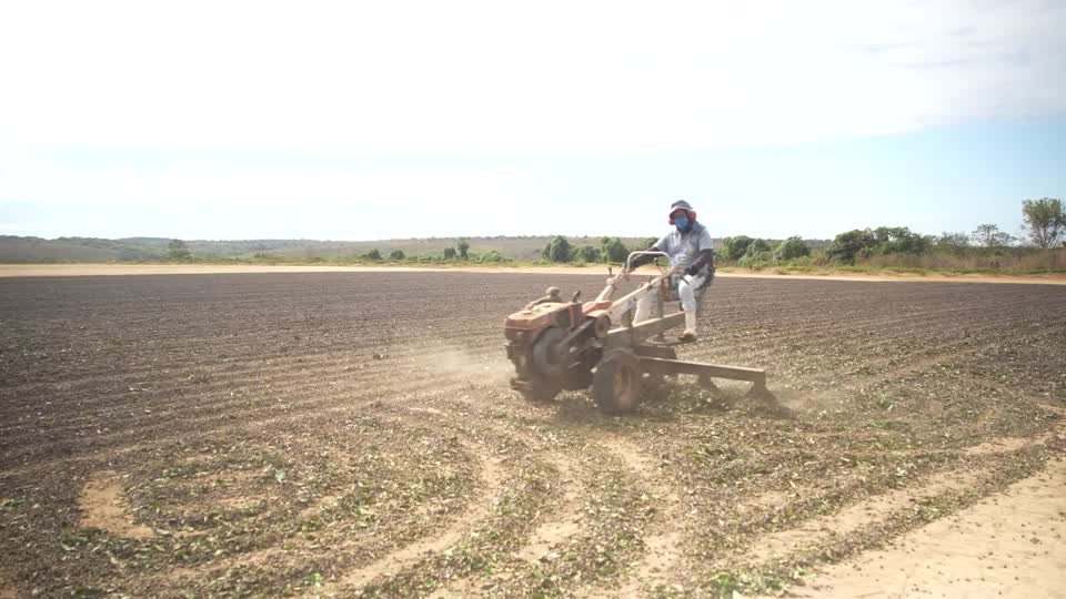 ترامب يلغي رسوم الغذاء على الواردات البرازيلية