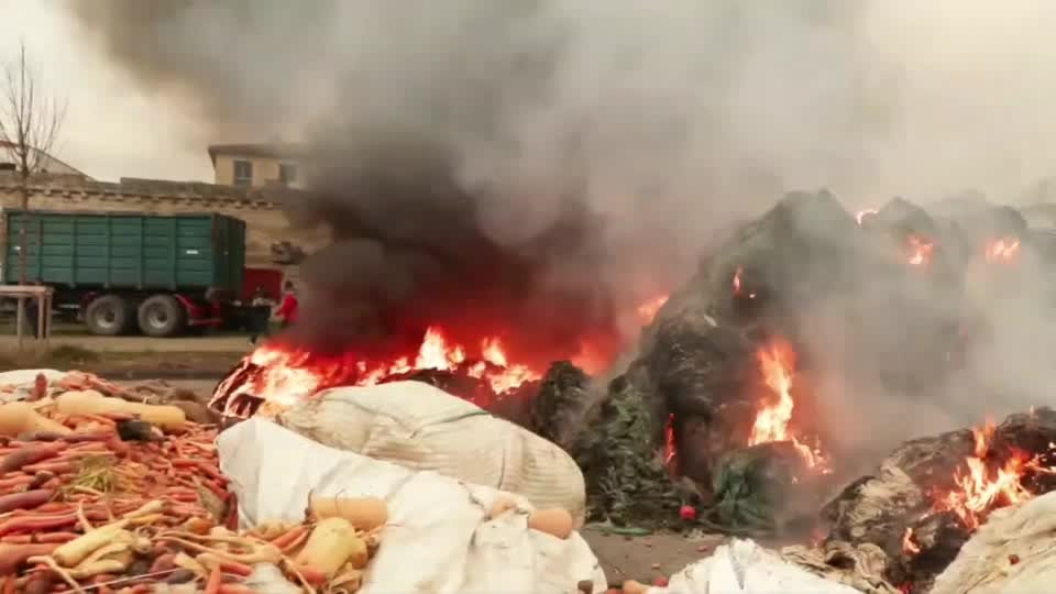 مزارعو فرنسا يغلقون طرقاً بسبب مرض يصيب الماشية