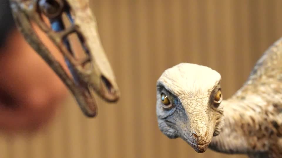 اكتشاف ديناصور صغير في باتاغونيا