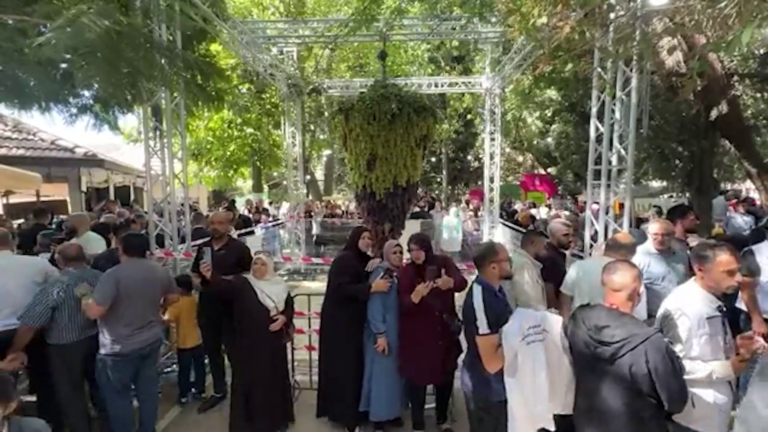 مهرجان العنب الفلسطيني في الخليل يعود بعد توقف